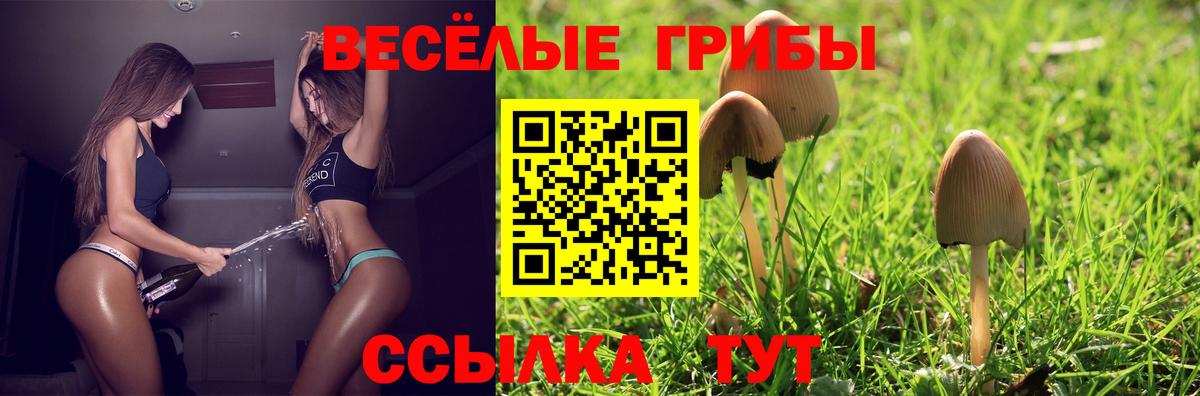 Тобольск  Галлюциногенные грибы прущие грибы  Псилоцибиновые грибы Magic Shrooms  Вход с VPN 